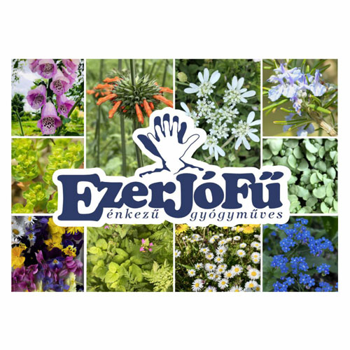 Ezerjófű logó